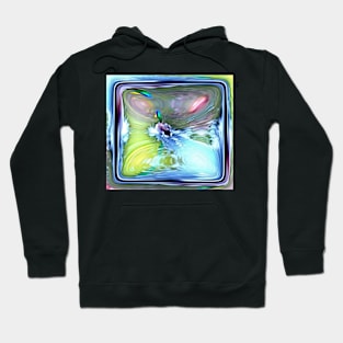 DUCK SPLASHES Hoodie